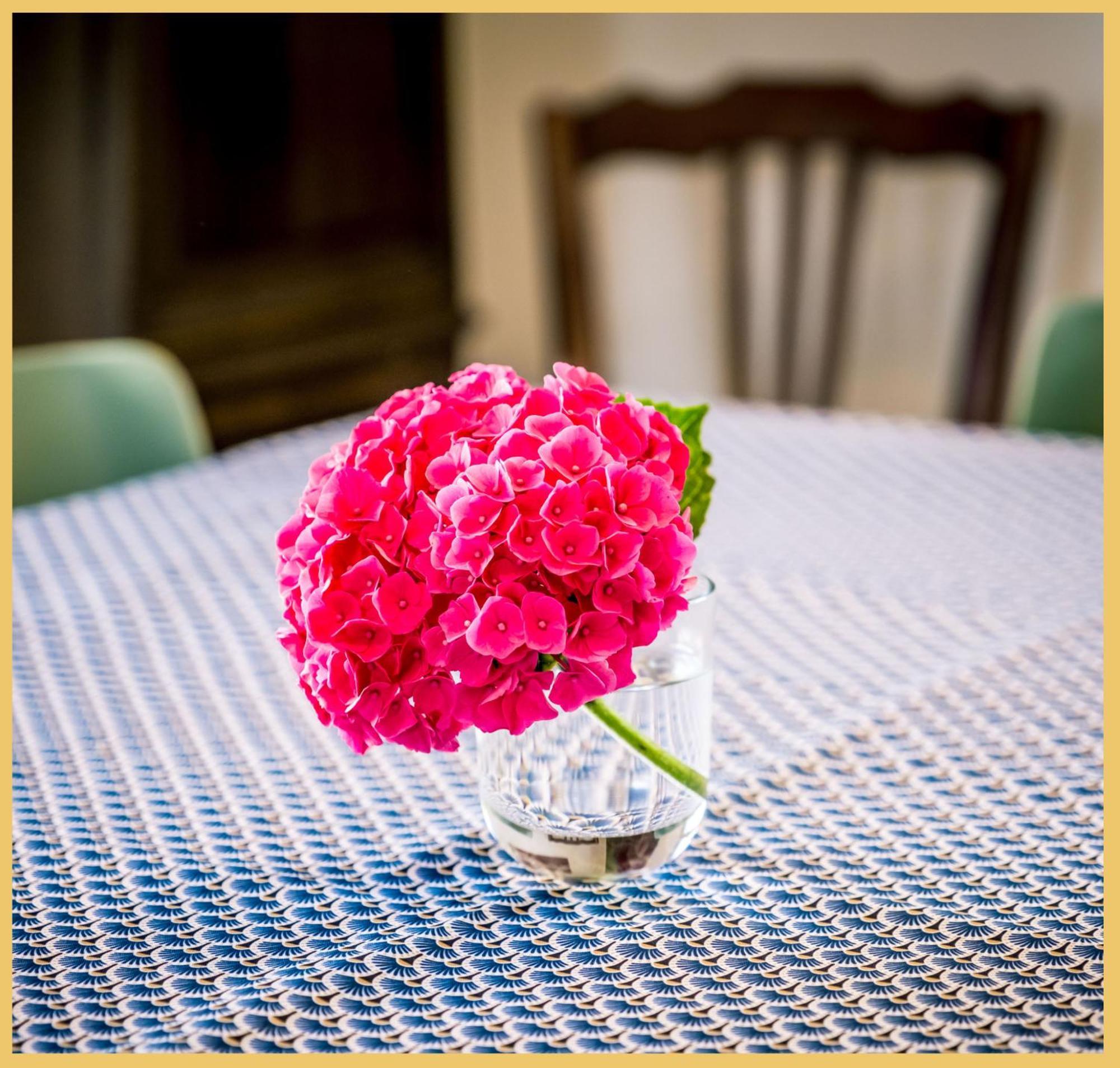 Chez Drum I Villa T3 I Thonon ภายนอก รูปภาพ